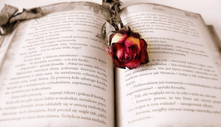 book-rose